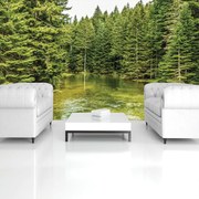 Fototapeta - Les (254x184 cm)