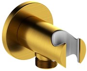 KFA Armatura 845-053-31 - Okrúhly držiak sprchy s vývodom MOZA mosadz/zlatá