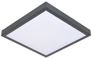 LED Stropné svietidlo so senzorom VITALI LED/24W/230V 4000K