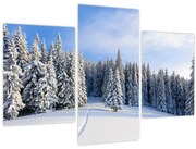 Obraz - Zima v lesoch (90x60 cm)