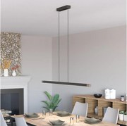 Eglo 900175 - LED Stmievateľný luster na lanku LISCIANA LED/22W/230V 3000K