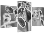 Obraz - Príroda na jeseň (90x60 cm)