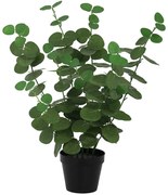 Umelý eukalyptus v kvetináči 50 cm