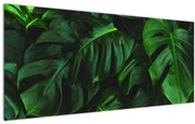 Obraz listov Monstery (120x50 cm)