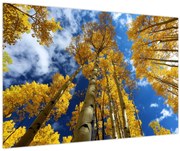 Obraz - Aspen (90x60 cm)