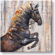 Maľovaný obraz na stenu KÔŇ 80x80 cm