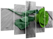 Obraz - Zelená ruža (150x105 cm)