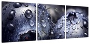 Obraz ovocia s kvapkami vody (s hodinami) (90x30 cm)