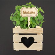 AMADEA Drevený zápich - ceduľka na bylinky Medovka, výška 20 cm, český výrobok