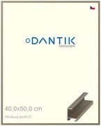 DANTIK rám na obraz 40x50 | ALU champagne (Plexi Čiré)