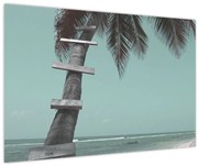 Obraz - Palma v Karibiku (90x60 cm)