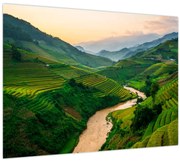 Obraz - Ryžové terasy II. (70x50 cm)