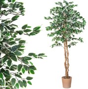 PLANTASIA 1654 Umelá kvetina - fikus - 190 cm