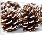 Obraz - Šišky (90x60 cm)