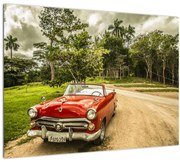 Obraz - auto veterán v prírode (70x50 cm)
