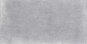 Obklad Fineza Raw sivá 30x60 cm mat WADVK491.1