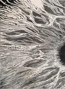 Koberec Elite 8752 GREY – sivý obdĺžnik so vzorom Rozmer: 280x370 cm