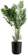 PLASTOVÝ KVETINÁČ ALOE TX 28,5X32 CM ČIERNA