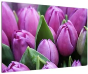 Obraz - kvety tulipánov (90x60 cm)