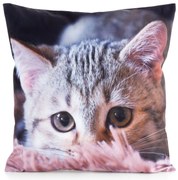 DETSKÁ DEKORAČNÁ OBLIEČKA NA VANKÚŠ ANIMAL75 45X45 CM VZOROVANÁ