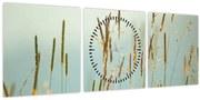Obraz - Lúčny okamih (s hodinami) (90x30 cm)
