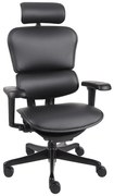 Kožené kreslo Ergohuman 2 Ultra LE01