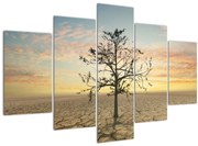 Obraz - Strom na púšti (150x105 cm)