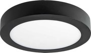 LED Stropné svietidlo FENIX LED/12W/230V 3800K  pr. 17 cm