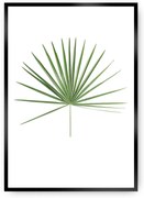 Plagát Tropical Leaf Green