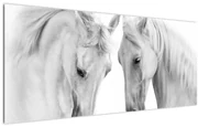 Obraz bielych koní (120x50 cm)
