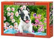 Castorland 500 dielikové puzzle - Šteniatko francúzskeho buldoga
