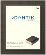 DANTIK rám na obraz 40x50 | Gočár šedá velká (Sklo Čiré)