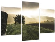 Obraz lúky (90x60 cm)