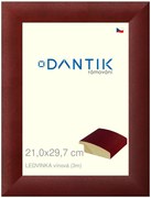 DANTIK rám na obraz 21x29,7 | LEDVINKA vínová (Sklo Čiré)