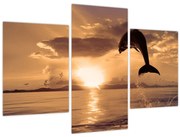 Obraz - Delfín pri západe slnka (90x60 cm)