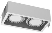 Brosline 3275 - Podhľadové svietidlo CAGE 2xGU10/18W/230V biele