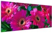 Obraz - kvety (120x50 cm)