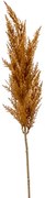 Grass pampas Branch orange 92 cm