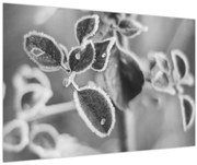 Obraz - Príroda na jeseň (90x60 cm)