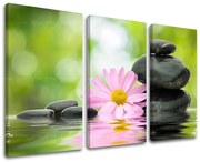 Obraz na stenu FENG SHUI | rôzne rozmery