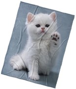 BedTex Detská deka Mačiatko Daj Pac, 150 x 200 cm