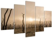 Obraz - Holé stromy (150x105 cm)