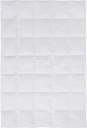 XXXLutz CELOROČNÁ PRIKRÝVKA, 135/200 cm, perie, páperie Boxxx - Prikrývky & vankúše - 007992077501
