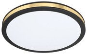 Eglo 99406 - LED Stropné svietidlo PESCAITO LED/11W/230V