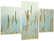 Obraz - Lúčny okamih (90x60 cm)