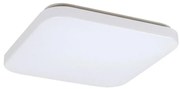 Rabalux 3344 - LED Stropné svietidlo ROB LED/32W/230V