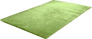 TZ Zelený obdĺžnikový koberec Alpaka Rozmer: 80x150 cm