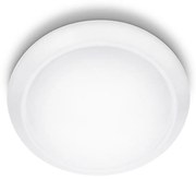 Philips 33365/31/17 - LED Stropné svietidlo LED/22W/230V 4000K
