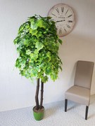 Hrozno zelené 180 cm