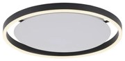 Leuchten Direkt 15391-13 - LED Stmievateľné stropné svietidlo RITUS 20W/230V čierna